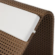 Paige Outdoor Woven Chaise Lounge