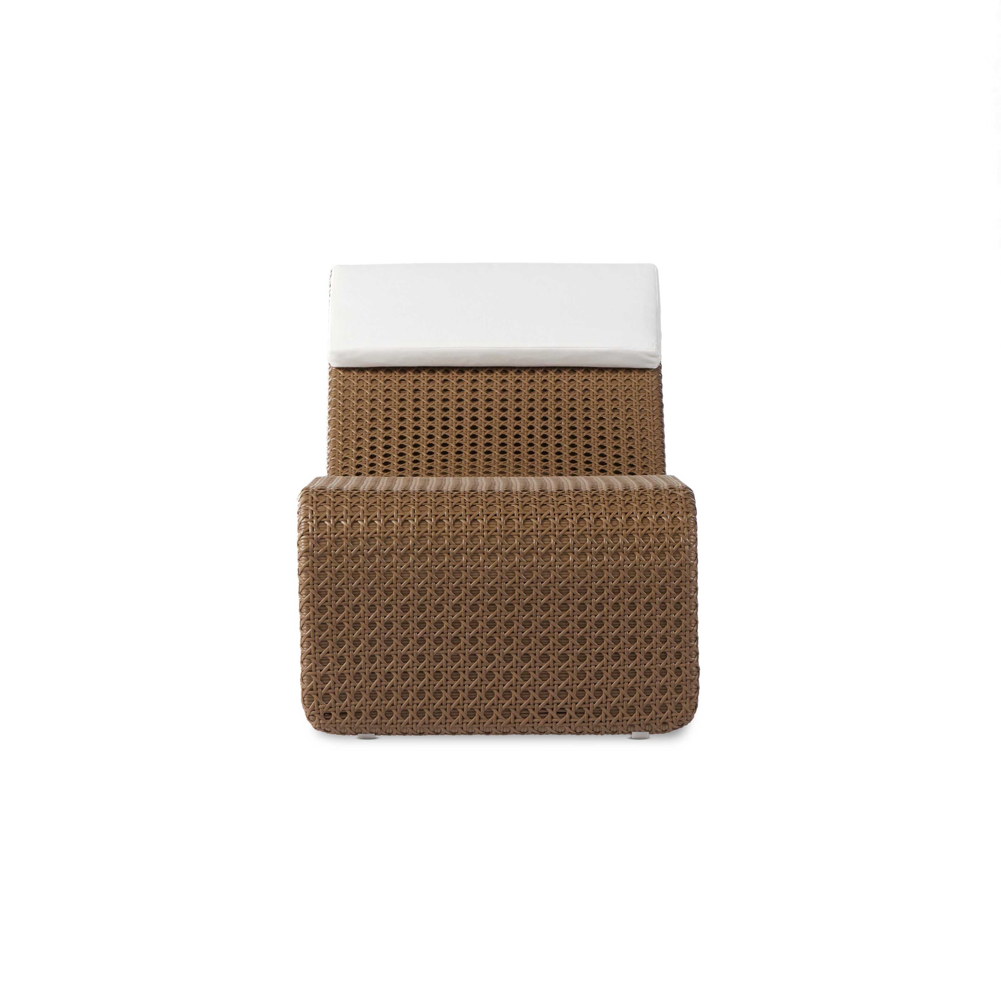 Paige Outdoor Woven Chaise Lounge