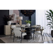 Sunpan Meadow Dining Armchair