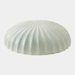 Global Views Urchin Wall Decor