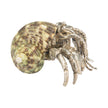 Chelsea House Hermit Crab Paperweight