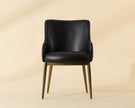 Sunpan Franklin Dining Chair
