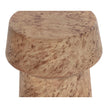 Sunpan Brie Burl Look End Table