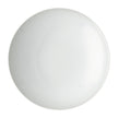 Rosenthal TAC Sensual Soup Plate