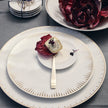 Rosenthal TAC Festive - Celebration Dinner Plate