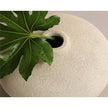 Sunpan Eryne Vase