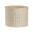 Chelsea House Braided Wicker Planter