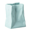 Rosenthal Mini Vase - Color Bag Mint