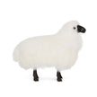Interlude Lucie Baby Sheep Ivory