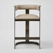 Interlude Darcy II Counter Stool