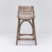 Interlude Home Naples Counter Stool