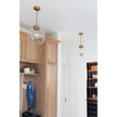 Regina Andrew Globe Pendant