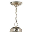 Regina Andrew Globe Pendant