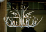 Regina Andrew Antler Chandelier