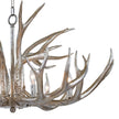 Regina Andrew Antler Chandelier