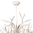 Regina Andrew Cheyanne Antler Chandelier