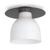 Regina Andrew Mixer Flush Mount