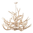 Waylon Antler Chandelier