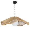 Regina Andrew Provence Cafe Pendant