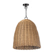 Regina Andrew Beehive Outdoor Natural Pendant