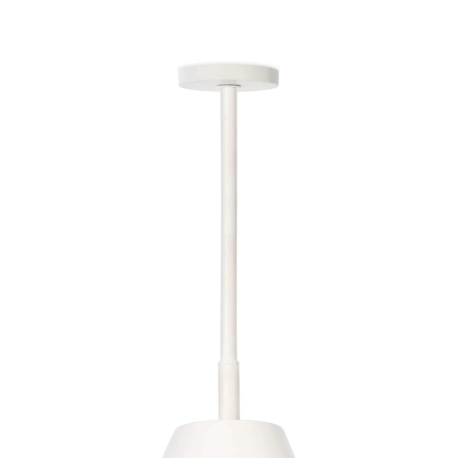Regina Andrew Bluff Outdoor Pendant