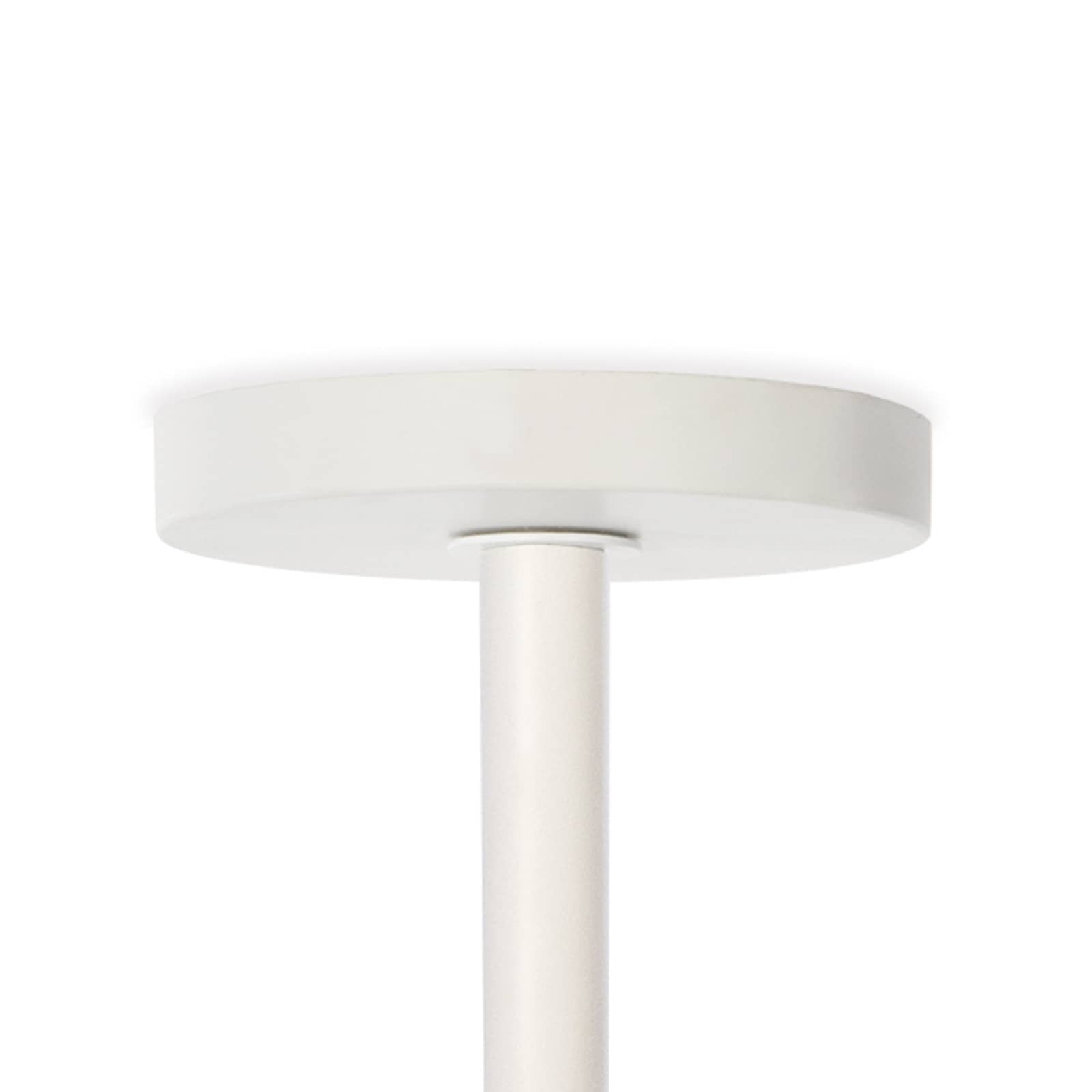 Regina Andrew Bluff Outdoor Pendant
