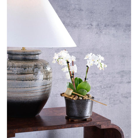 Wildwood Shokubutsu Kuro Vessel