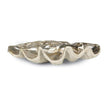 Regina Andrew Clam Shell Bowl Large