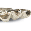 Regina Andrew Clam Shell Bowl Large