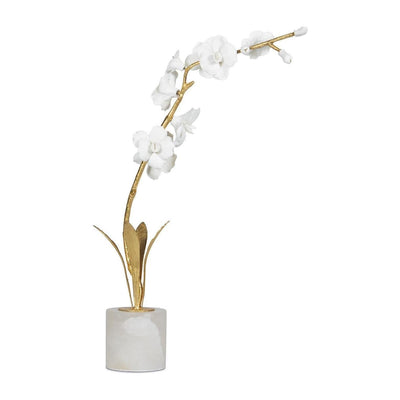 Regina Andrew Thylane Accessory