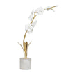 Regina Andrew Thylane Accessory