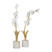 Regina Andrew Thylane Accessory