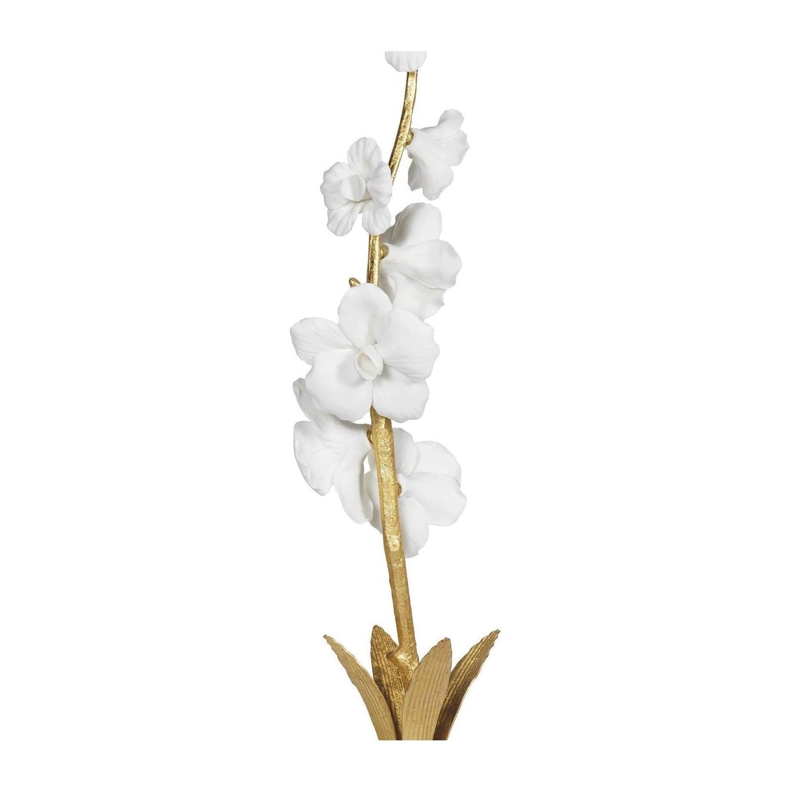 Regina Andrew Thylane Accessory