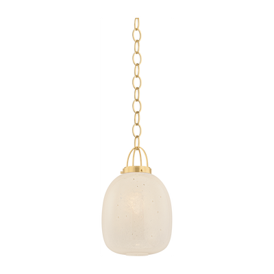 Hudson Valley Lighting Enosburg 1 Light 11 inch Pendant Ceiling Light
