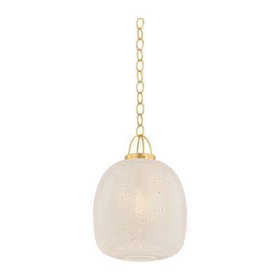 Hudson Valley Lighting Enosburg 1 Light 16 inch Pendant Ceiling Light