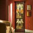 Pulaski Furniture PFC Curios Mirrored Curio Cabinet