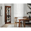 Pulaski Furniture PFC Curios Mirrored Curio Cabinet