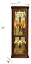 Pulaski Furniture PFC Curios Mirrored Curio Cabinet