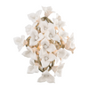Corbett Lily 1 Light Enchanted Silver Leaf Wall Sconce Wall Light