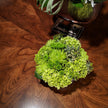 Woodbridge Furniture Provence Square Cocktail Table