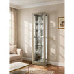 Pulaski Furniture PFC Curios Curio Cabinet