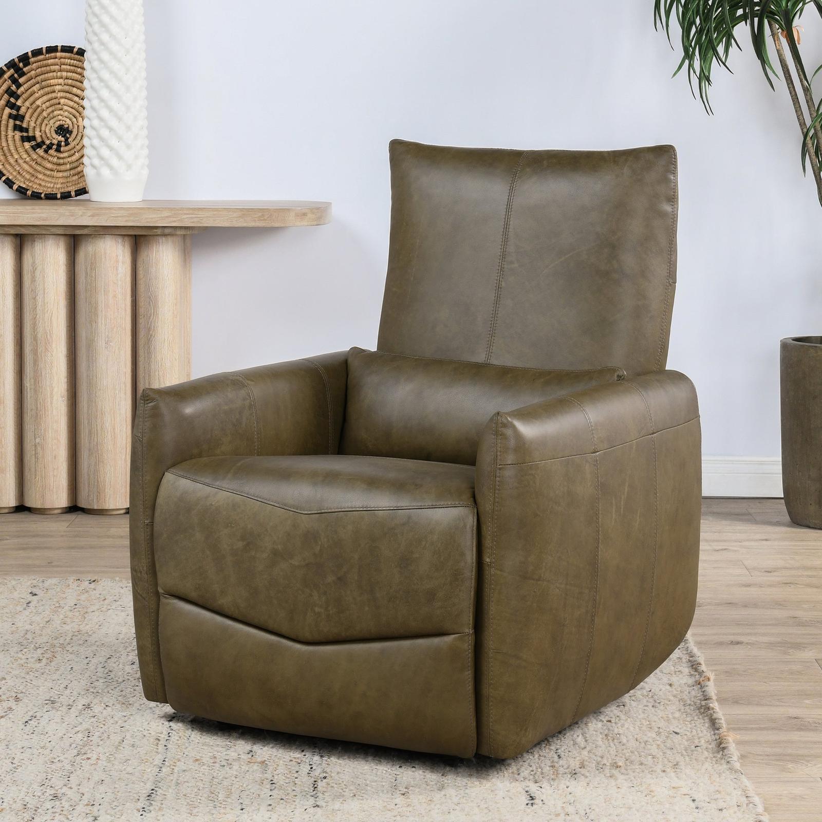 Classic Home Thaya Power Recliner