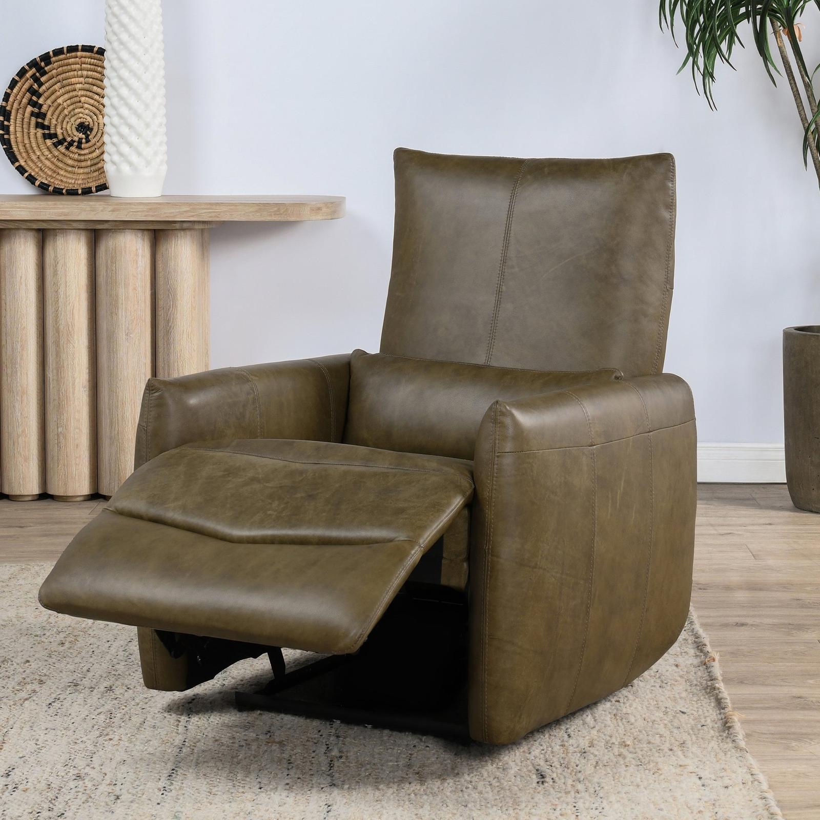 Classic Home Thaya Power Recliner