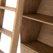 Four Hands Bane Double Bookshelf with Ladder