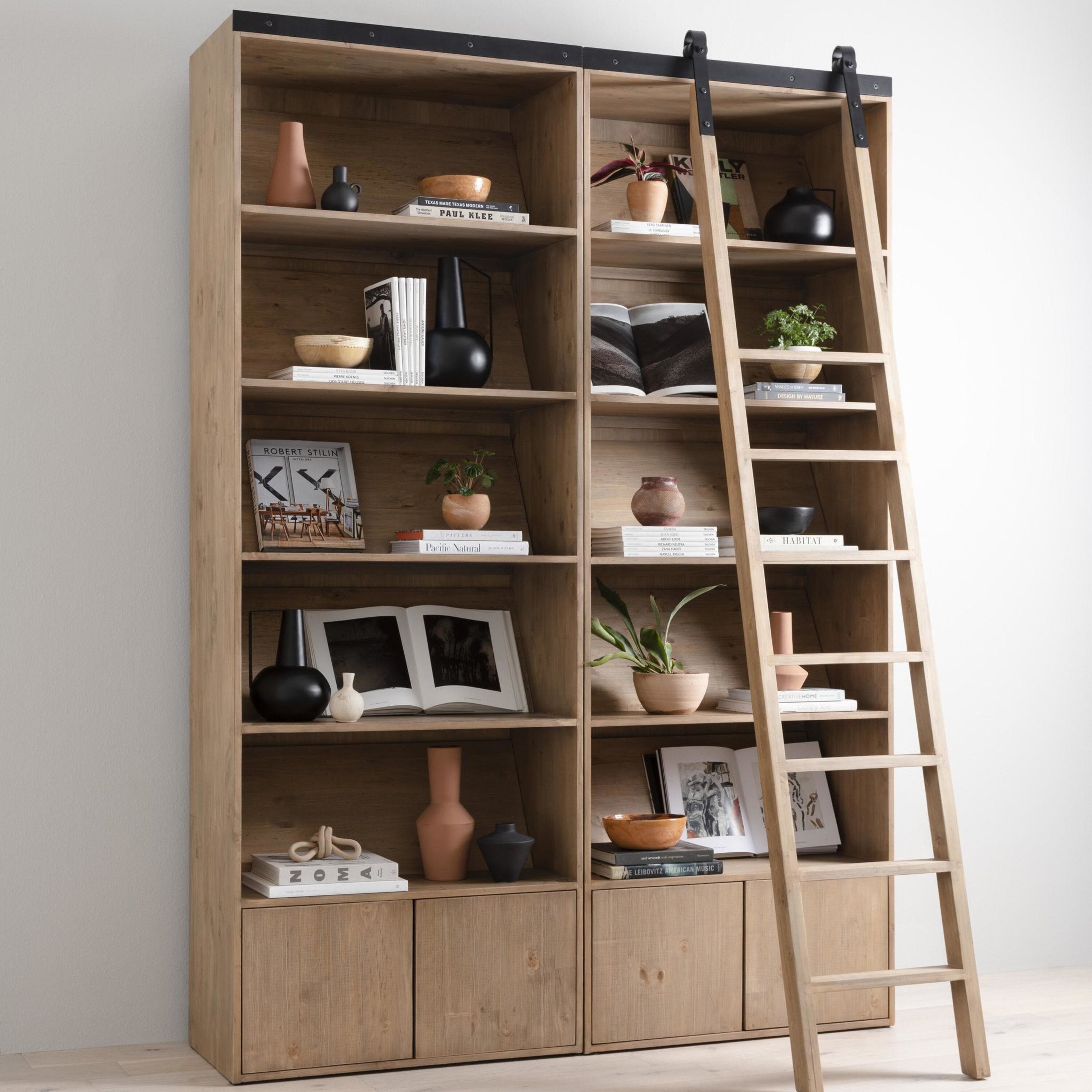 Four Hands Bane Double Bookshelf with Ladder