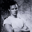 Marlon Brando By Getty Gallery