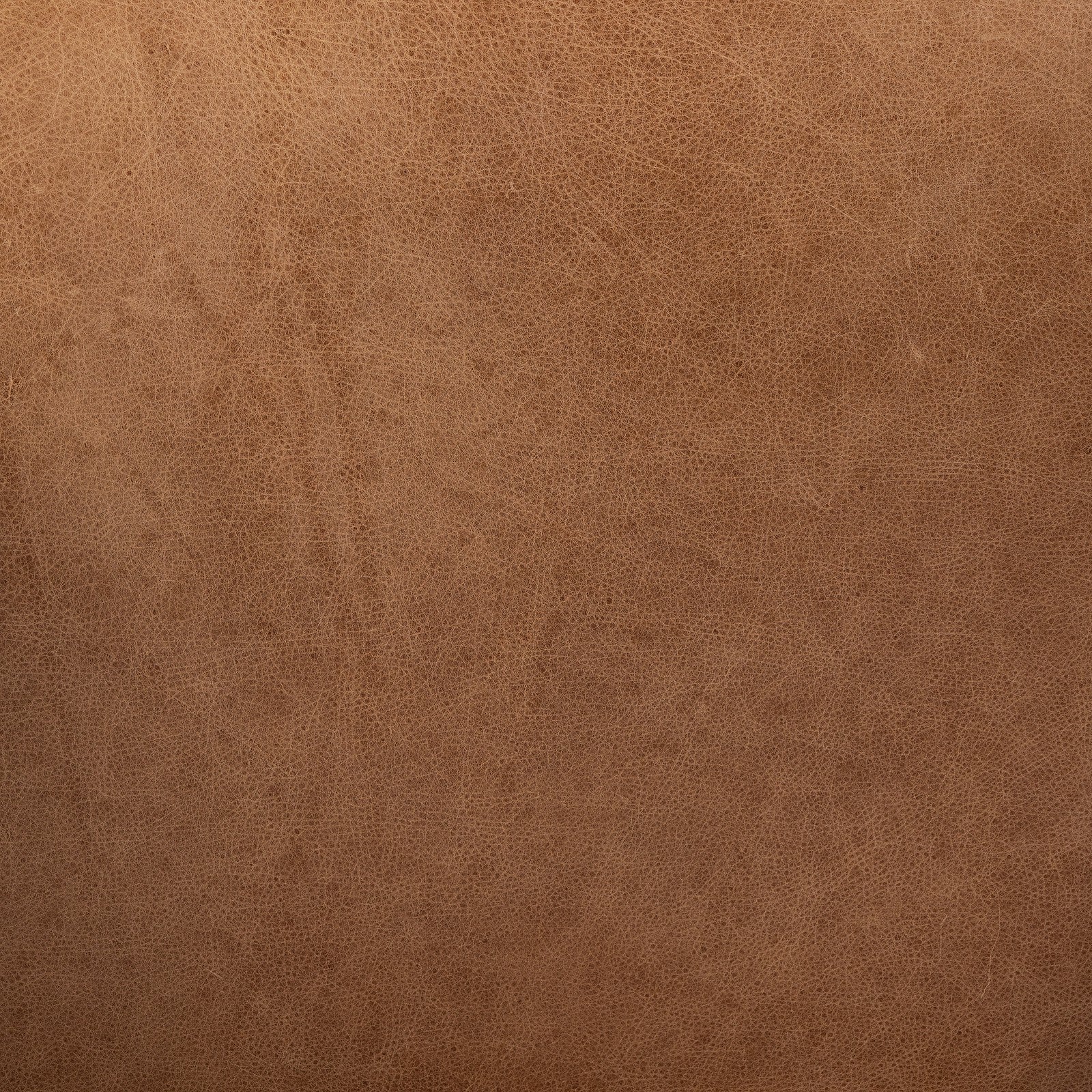 Four Hands Madeira Dining Chair