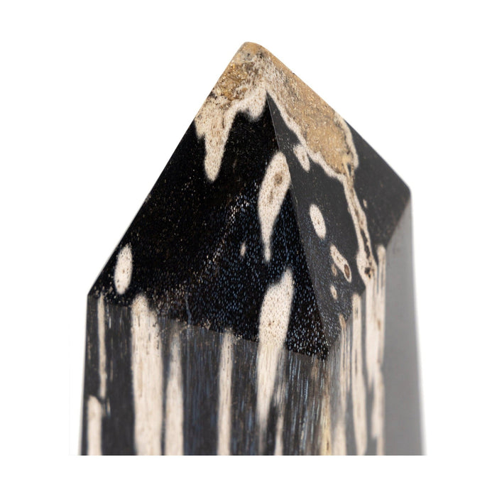 Petrified Wood Obelisk-Dark Petrified