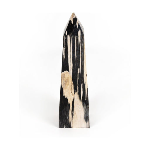 Petrified Wood Obelisk-Dark Petrified
