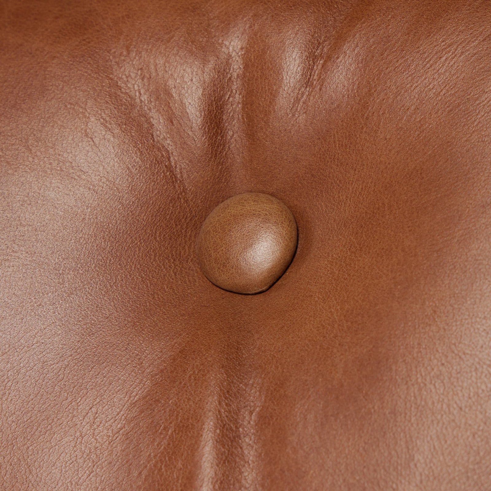 Lenz Dining Armchair-Sonoma Chestnut